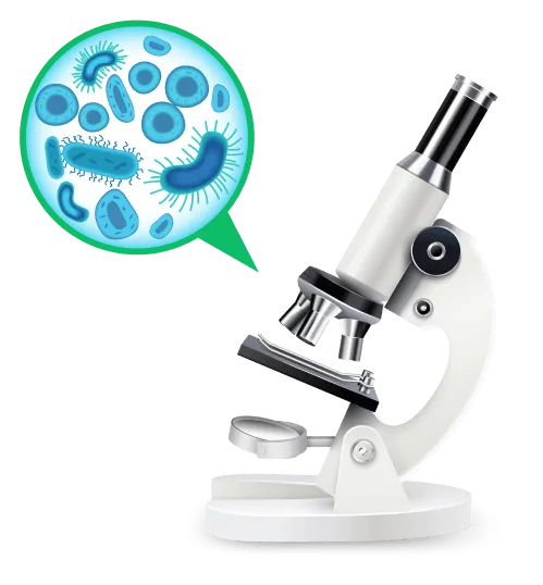 why-choosw-2-1