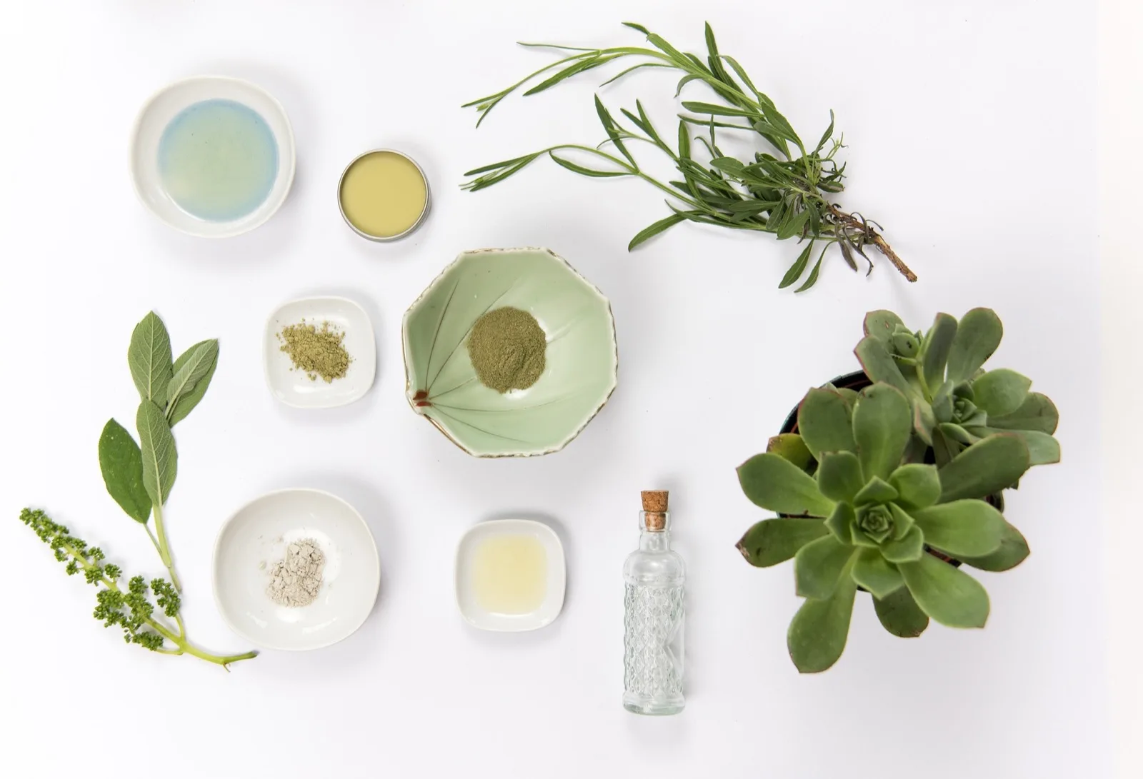 Bioactives